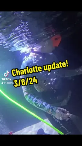 #fyp #charlotte #stingray I bet Charlotte is ready to be left alone🤰🏽#charlotte #stingray #fyp 