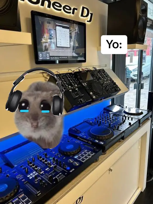 😔😔😔😔 #dj #fyp #fypシ #hamster #foryou #meme #music #sad 