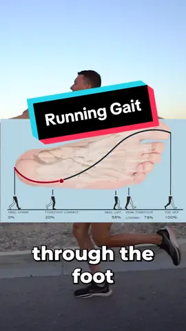 The gait cycle typically progresses through the big toe 🏃🏽‍♂️ If we have a movement restriction or lack of motor control through big toe extension, then we can end up “Going around” one way or another.  This can lead to issues at the foot as well as compensations up the chain.  🦶🏽 Improving big toe extension and building control pushing the base of the big toe into the ground while hip hinging can help. #gaitmechanics #runningtechnique #runningcoach #halfmarathontraining #marathontraining 