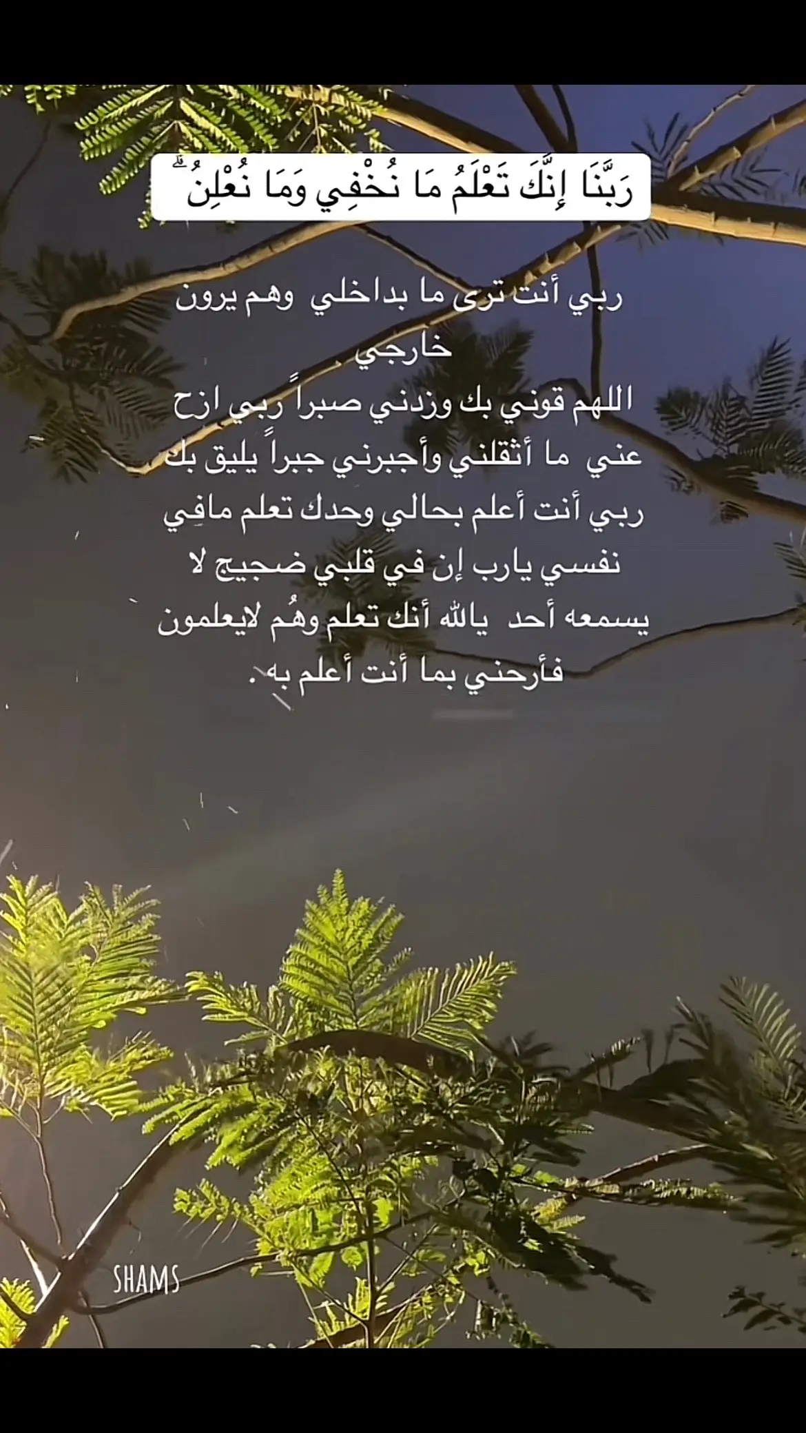 #يارب_فوضت_امري_اليك 