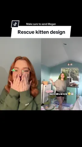#duet with @ I’m so excited to show you all the adorable things we’ve been working on! #interiordesign #kittenrescue #smallspaceideas #interiordesigner 