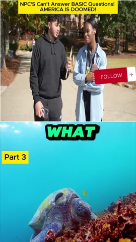 NPC'S Can't Answer BASIC Questions! AMERICA IS DOOMED!
  #Questions #Challenge #viral #foryou #interview #streetinterview 