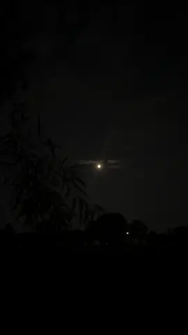 the truth… #dark #alone #darkaesthetic #night #peace #moon #true #real #lonely #shorethanggg #fyp #foru #fypage #foryou #4u 