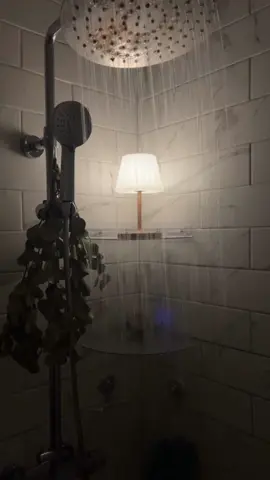 this is your sign to buy a shower lamp #fyp #showerlamp #homedecor 