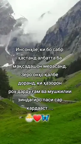 #🥺❤☝🏻🕊 #рекомендации❤🤗😇 #сохры🐊❤🕊 #рекомендации🐣❤🙈😍🦋💫 