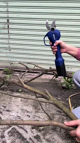 Thanh lý kéo cắt cành chạy pin Bo Jet pin 5 cell trâu bò#keocatcanh #keocatcanhchaypin #keocatcanhchaypin #thanhly #keocatcanhcay #keocattiacanhcay 