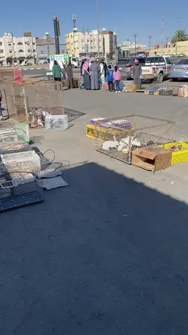 #تبوك #بيع ##اكسبلور ##الجمعة_البيضاء #الجمعه_ #سوق #الجمعه_ 