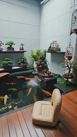 Mangan esuk kuwe jeneng'e  Harapan ya..🤔 #fyp #kolamkoi #ikankoi #deorama  #sangkarcungkok #sangkarcungkokindonesia #kicaumania #kicaumaniaindonesia #kicaumanianusantara #hobikicau #hobbypositive #hobylakilaki #sangkarukir#bonsaimini #bonsai 