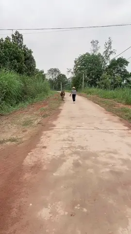 Đã kêu không nhảy được mà cứ bảo nhảy 🤣🤣🤣🤣#xuhuong #nghean37 