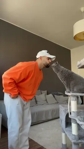 I like your 🍑 too 😁 #dance #cat 