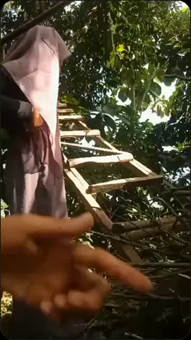 fyp#lombokvirall🌴🌴 #masukberanda 