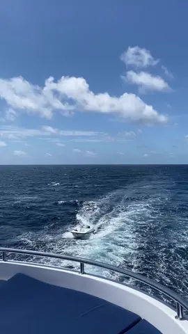 #ما_فينا_نغير_ولا_كلمه #وائل_كفوري 