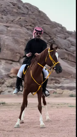 😍💙 #خيل_وخياله🐎 #اكسبلور #حايل #hail #ترند 