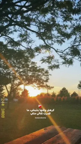 ﮼اللی‌عشته‌معی‌ممنوع‌تعیشه‌مع‌حدا‌‌‌تانی❤️‍🩹#elissa  #viraltiktok #fypシ #اكسبلورexplore #foryou #foryoupage #الريتش↘️↘️↘️↘️↘️↘️ 