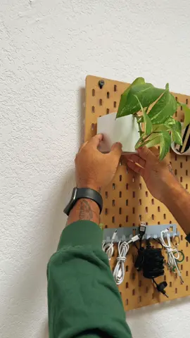 Got the SKADIS pegboard and while mapping out my layout, I knew I wanted to put my pothos cutting into a container. I still need to get a shelf and maybe some hooks but this is what it’s looking like! Couple of side notes: • it’s not worth $30 but I still bought it 😅 (not to mention the additional costs of all the attachments) • you need screws and it doesn’t come with them • i’m eventually going to put velcro on the bottom of the container to attach/detach a saucer.  • i’ve repositioned the plant at least 5x but I think I’m satisfied now • if anybody has Stussy beats headphones for retail, lmk ••• #ikea #ikeahack #ikeahacks #ikeaplants #ikeaskådis #skådis #houseplants #pothos #pothosplant #skadisikea #ikeafinds #ikeatok #planthack #houseplantsoftiktok #houseplantlover 