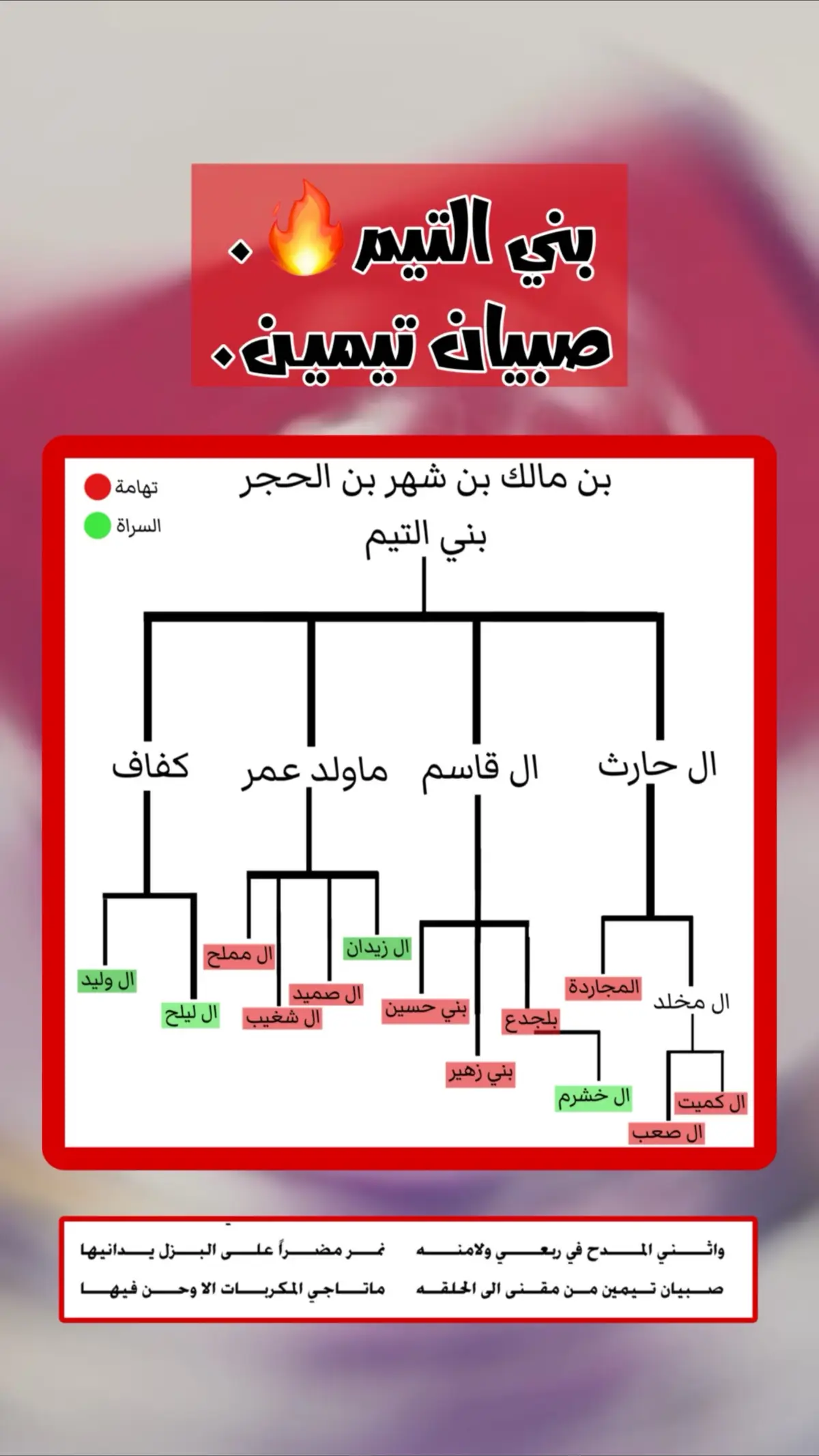 من أي بني التيم؟😇 #المجاردة #مجاردة #مجاردة_بني_شهر #صبيان_الأجرد #المجاردة_بني_شهر #بني_شهر #النماص #تنومة #سوق_الاثنين_المجاردة #النماص_الجنوب_عسير_تنومة_بني_شهر #اكسبلور #لايك #ترند #الشعب_الصيني_ماله_حل😂😂 #صبيان_الأجرد #explorepage #بللسمر #بني_عمرو #محايل #رجال_الحجر #بللحمر #fypシ #fyp #foryou #explor #trend #الهشتاقات_للرخوم🧢 #الهشتاقات_للشيوخ 
