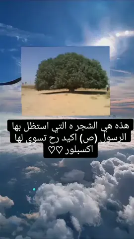 #اللهم_صل_وسلم_على_نبينا_محمد #امين_يارب #اكسبلور #ياالله #oops_alhamdulelah 