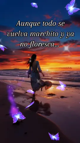 Luchadora _ #lita #pezo #luchadora #felizdiadelamujer #mujervaliosa   #parati #videoviral #fypシ 