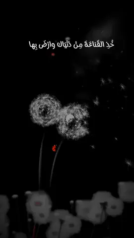 خذ القناعة من دنياك وارضى بها  #لا_اله_الا_الله #محمد_رسول_الله  #صلى_الله_عليه_وسلم #اناشيد_بدون_موسيقى #اناشيد_متنوعة #خذ_القناعه_من_دنياك_وارضى_بها 