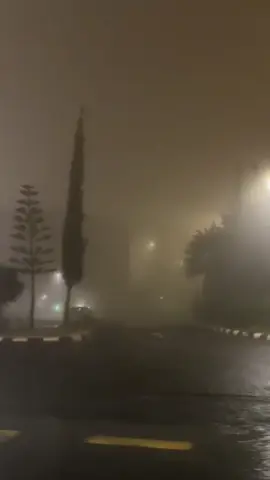 اجميعنا ياشوراع ابها لو صدفه ضباب الليلة بالقلب ابها الان #اكسبلووور💔capcutcapcutابها 