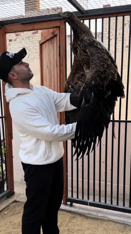 رهبة اتجننت 🦅 #رامز_امير #رهبة #رحال 