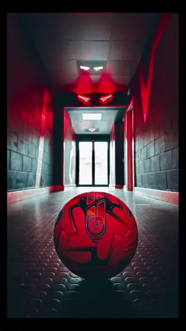 Brilliant to be able to get pitch side at the LNER Stadium at @Lincoln City Football Club this lunchtime to take some snaps of our Puma ELF Inclusion Football ⚽️🏆 Kindly donated by World Wide Shirts as our charity Matchball Sponsor for my charity game at the stadium on Monday 29th April with 7pm kick off in support of SADS UK and in association with Hughsie F.C 🔴⚪️ Pitch looking in top form 👌🏻❤️ #fyp #fypシ #fypシ゚viral #fypage #fyppppppppppppppppppppppp #football #charity #lincoln #lovelincoln #leagueone #efl #lincolncity #Soccer