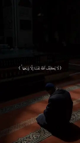 لا يكلف الله نفسا اله وسعها ❤️🥰🤍#قرآن #صلي_علي_النبي #راحه_نفسيه #قرآن_كريم #احمدالعجمي 