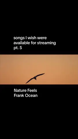 Had to do another Frank song #frankocean #lonnybreaux #naturefeels #electricfeel 