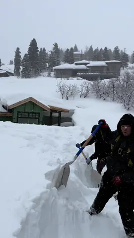 Tambien en la nieve le meten estos Gallos!  💪🏽 7 pies de nieve, fue un dia divertido😅 Equipo GPR @eldin torres Rodríguez @Rodríguez  Ariel @Abener Torres @yebenilsoncanales @Inferno11RT  #roofing #roofinglife #ruferos💯 #fyp #saltlakecity #parkcity #parkcityutah #snow #utah 