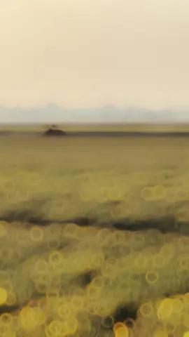 Từ lúc quen nhau chưa nói một lời gì … #xuhuong #lofi_lyrics #fypシ #nhachaymoingay 