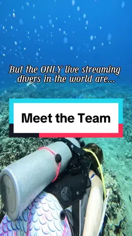 Let us celebrate womens history month together, & be proud of our accomplishments; especially if that meant conquering our fears in life. #womenshistorymonth #ComeDiveWithUs #fyp #womenpower #ocean #explore #dream 