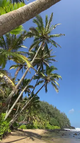 + for an Island summer 🌞🌴