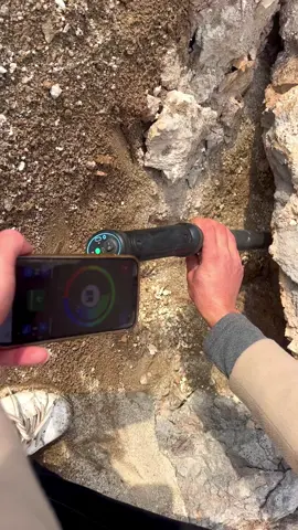 Real treasure hunt