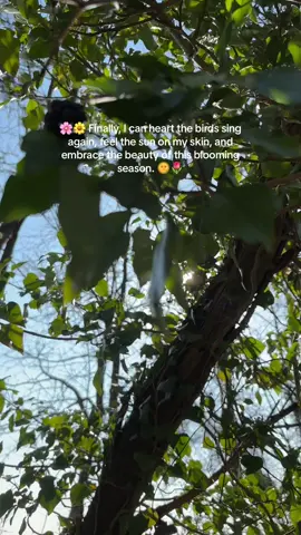 Spring has sprung!🌸🌼 #HelloSpring #frühling #fyp #fürdich 