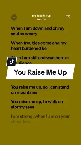 You Raise Me Up 🎶 - Westlife #fyp #fullsong #lyrics #foryou #spotify 
