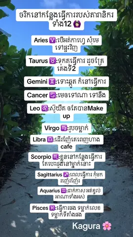 មកធ្វើការ ឫ មកដើរលេង#តារានិករទាំង១២ #តារានិករ♈♉♊♋♌♍♎♏♐♑♒♓⛎ #zodiac 