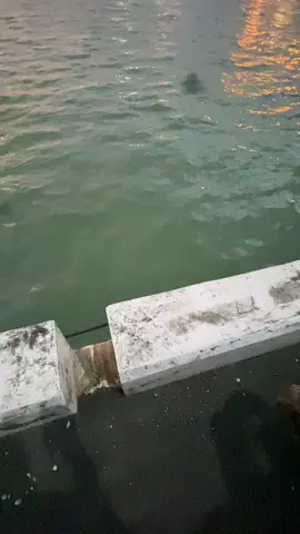 😇 #ramadhan #senja #ramadhan2024 