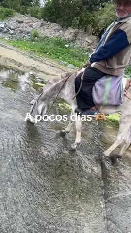 #faltando poco 💕#serums