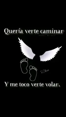 8 meses sin ti y aún no acepto que no estás conmigo 🥺👣👼🤍🕊️#parati #xyzbca #foryou #greenscreen #miangelito👼🕊💔 #miamorbonito👼🏻🥺 