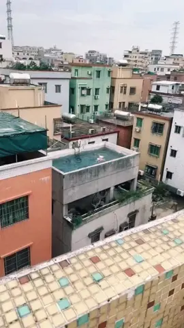 on m'a dit les animaux c'est comme les enfants , il faut tout le temps les surveiller !