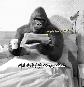 #شانكس #لوفي #ون_بيس #الشعب_الصيني_ماله_حل😂😂 #explore #اكسبلورexplore #اكسبلور #fyppppppppppppppppppppppp #fyyyyyyyyyyyyyyyy #fyp #foryourpage 