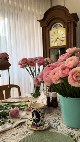 Моя медитація💓 #ранункулюсы #ranunculus #flower #Love #blumen 