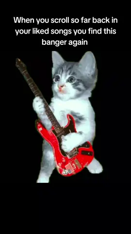 The end by Sisyfuss my beloved  You'll find it in the end is such an underrated album, like it doesn't even have a wikipedia article  #sisyfuss #theendsisyfuss #theend #catcore #ballincat43 #fyp #foryoupage #altrock #indierock #viral #alternativerock 