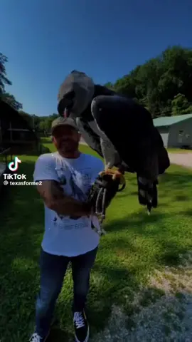 #duet with @Danny Watson 