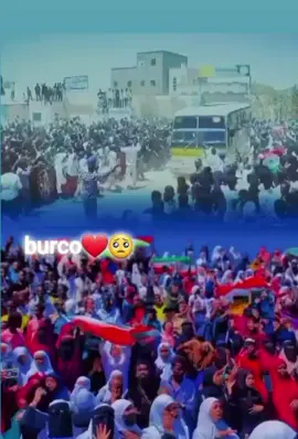 #burcotogdhersomaliland💚🤍❤️ #somalitiktok #💚🤍❤️ dawladda hoose burco 🏆🦁🙏 soo dhawayntii ciyartoyadii qaday koobka iyo manta burcowayn 