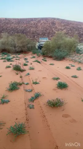 قفر وابو نايف 👏🏾#اكسبلور #عيسى_الاحسائي #فتى_الشرقيه #الطبيق_حرة_الحره_الخنفه_القريات_طبرجل #المريشديه #محمية #الشرارت #الخنفه #تبوك #الحوصا #حرة_الحره 