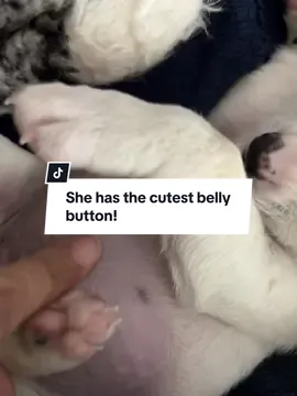 OMG I just love her little belly button!!! Meet Winnie our new baby! 