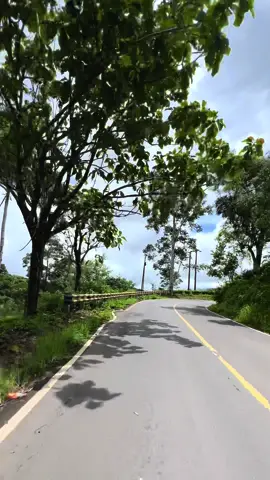 Pov : kamu perjalanan menuju Ujung Genteng Sukabumi lewat pajampangan. Ada jalan belok auto miringin badan😅 #sukabumi #pesonasukabumi #sukabumihits #sukabumijawabarat #sukabumipride #pesonaindonesia #pajampangan #sukabumiexplore #kiara2sukabumi #pantaisukabumi #jampang #ujunggenteng 