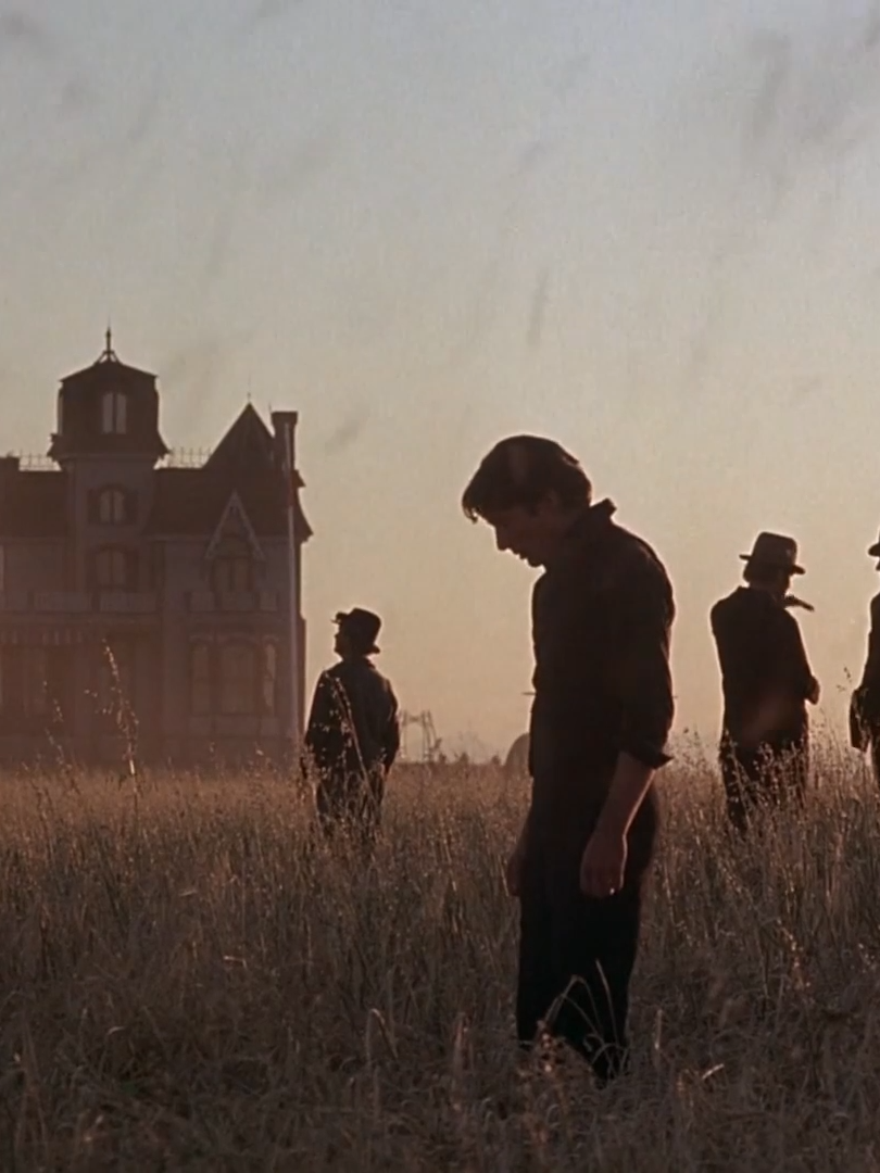 Days of Heaven | 1978 | One of the best looking films   #langufilms #filmtok #edittok #movieedit #filmedits #cinematicedit #cinematicmovieedit #daysofheaven #daysofheaven1978 #daysofheavenedit #daysofheavenmovie #terrencemalick #terrencemalickmovie #terrencemalickfilm #richardgere #richardgereedit