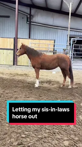 Letting my sis-in-laws horse out🐴❤️ @MH MABRY 
